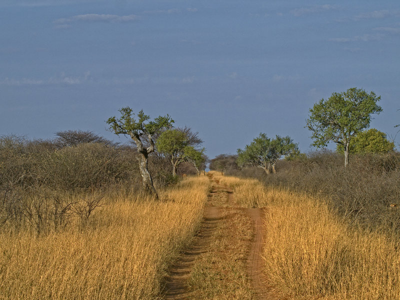 Waterberg